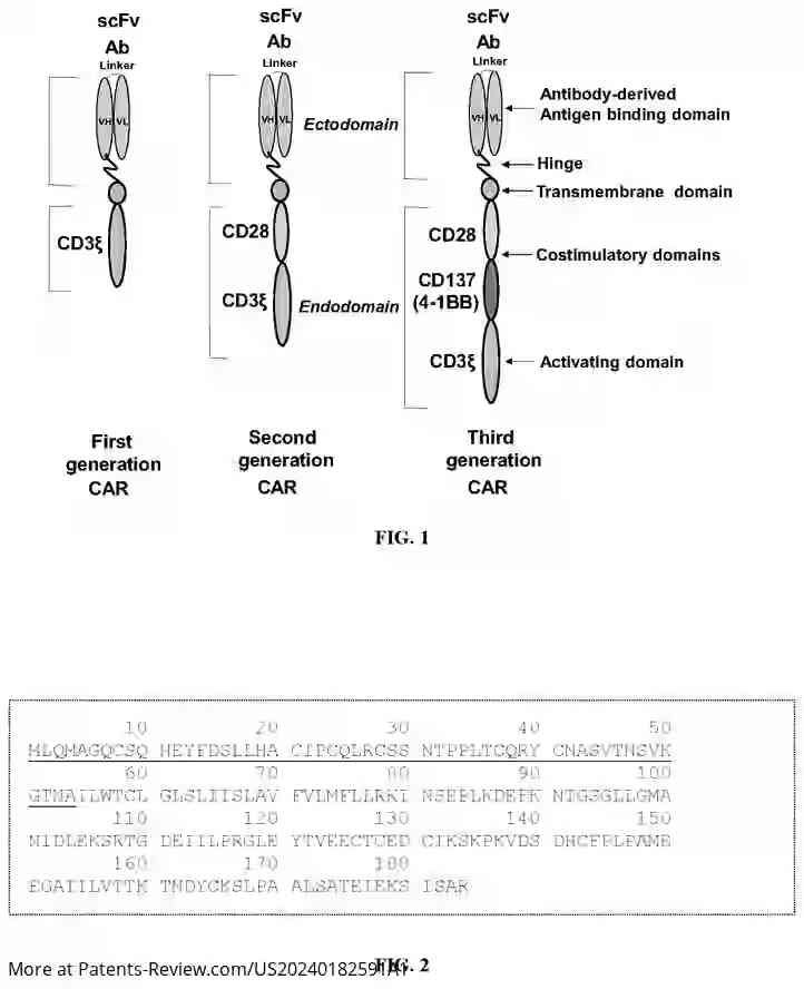 Drawing 02 for HUMANIZED BCMA ANTIBODY AND BCMA-CAR-T CELLS