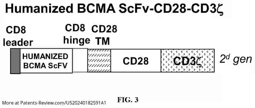 Drawing 03 for HUMANIZED BCMA ANTIBODY AND BCMA-CAR-T CELLS