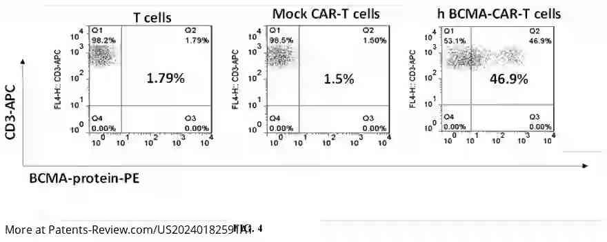 Drawing 04 for HUMANIZED BCMA ANTIBODY AND BCMA-CAR-T CELLS