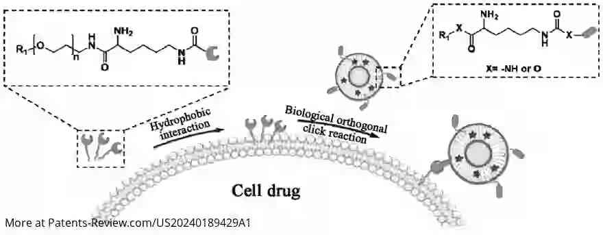 Drawing 01 for METHOD FOR ANCHORING AND MODIFYING NANO-DRUG ON SURFACE OF LIVING CELL