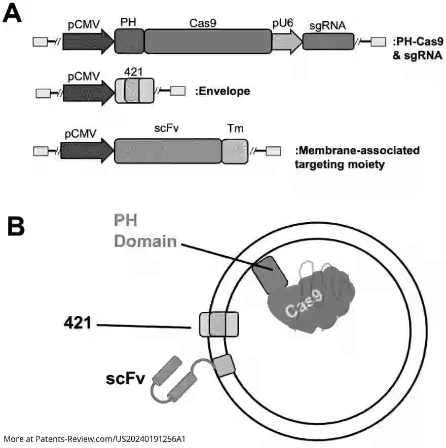 Drawing 01 for Virus-like Particles with Programmable Tropism and Methods of Use Thereof for Delivery to Cells