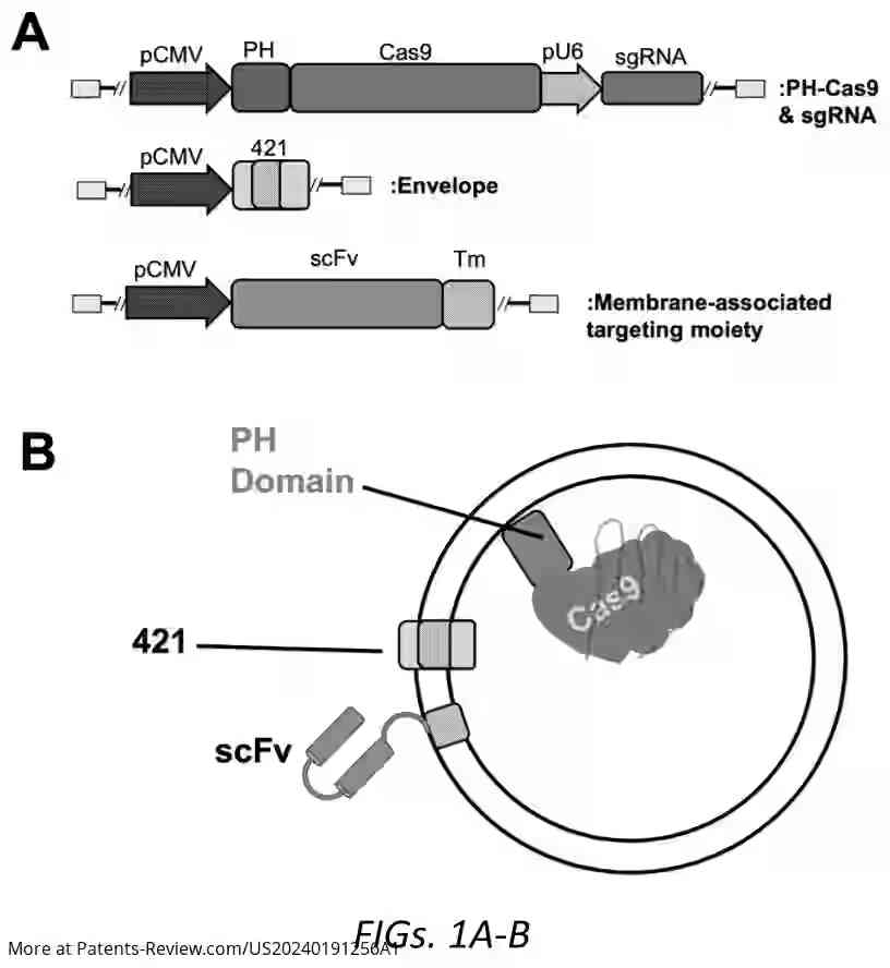 Drawing 02 for Virus-like Particles with Programmable Tropism and Methods of Use Thereof for Delivery to Cells