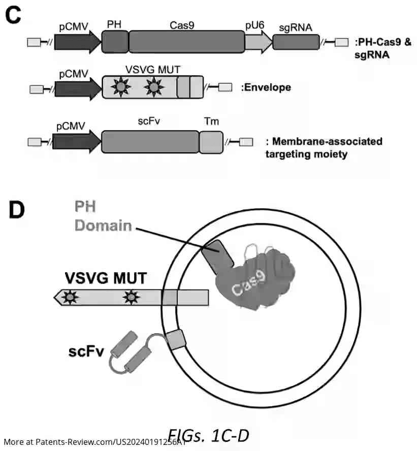 Drawing 03 for Virus-like Particles with Programmable Tropism and Methods of Use Thereof for Delivery to Cells