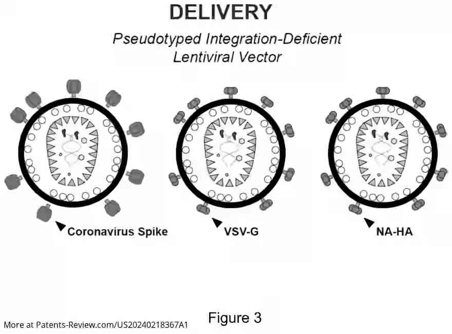 Drawing 04 for Targeted Destruction of Viral RNA by CRISPR-Cas13