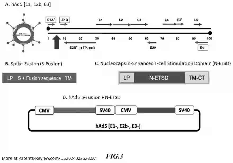 Drawing 04 for Nant COVID Vaccine Cross Reactivity