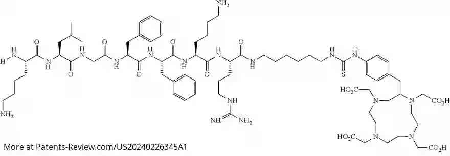 Drawing 02 for RADIOIMMUNOCONJUGATES TARGETING CALRETICULIN FOR USE IN THE TREATMENT OF CANCER