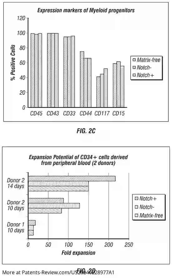 Drawing 04 for GENERATION OF INDUCED PLURIPOTENT STEM CELLS FROM SMALL VOLUMES OF PERIPHERAL BLOOD