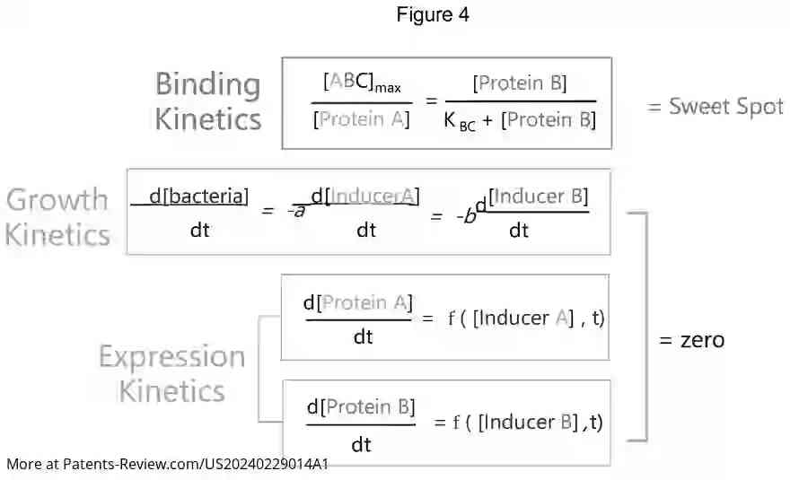 Drawing 04 for SYSTEM FOR THE DIRECTED EVOLUTION OF BIOMOLECULES IN MULTI-BODY COMPLEXES