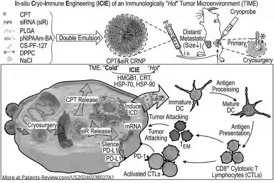 Drawing 01 for IN-SITU CRYO-IMMUNE ENGINEERING FOR CANCER IMMUNOTHERAPY