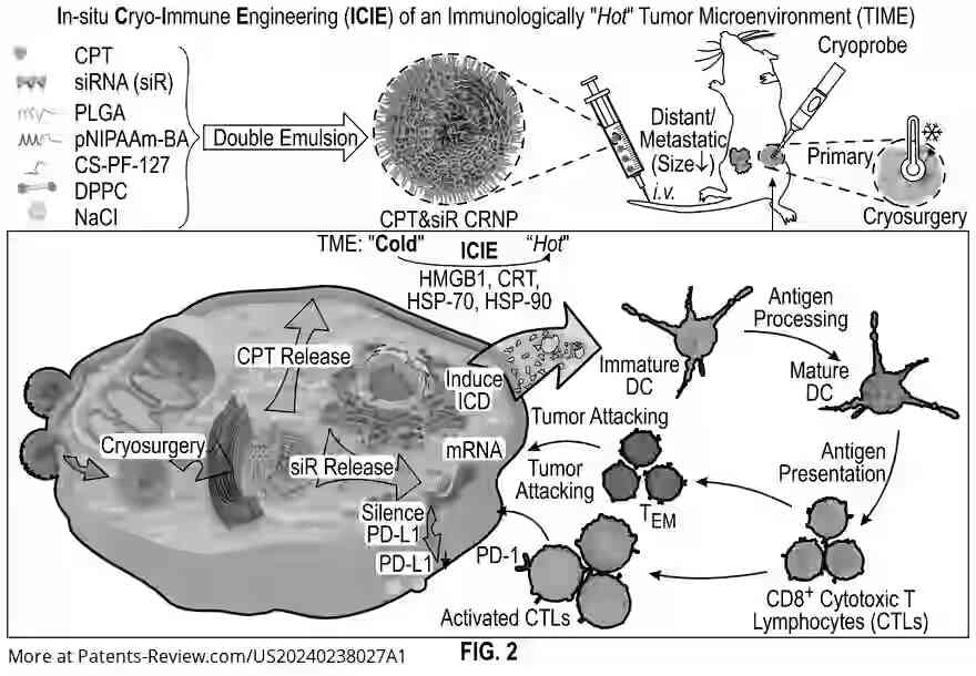 Drawing 04 for IN-SITU CRYO-IMMUNE ENGINEERING FOR CANCER IMMUNOTHERAPY