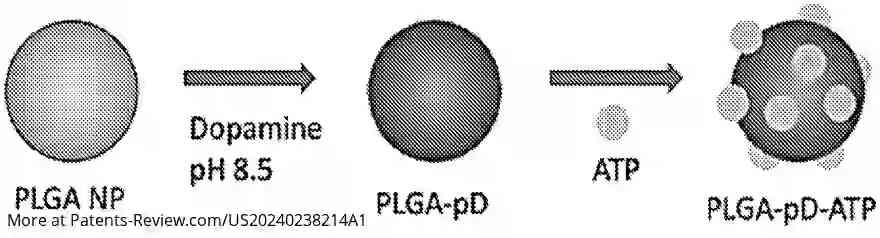 Drawing 01 for NANOCONSTRUCTS AND NANOPARTICLE-MEDIATED DELIVERY OF IMMUNOGENIC CELL DEATH INDUCERS FOR ENHANCING CANCER IMMUNOTHERAPY