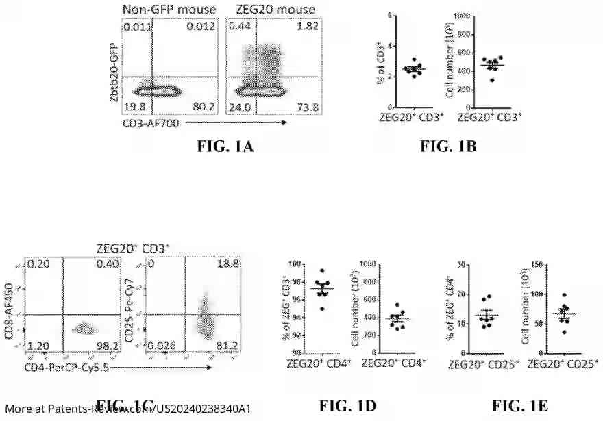 Drawing 02 for IMMUNOTHERAPY FOR INFLAMMATORY BOWEL DISEASE AND/OR CANCER