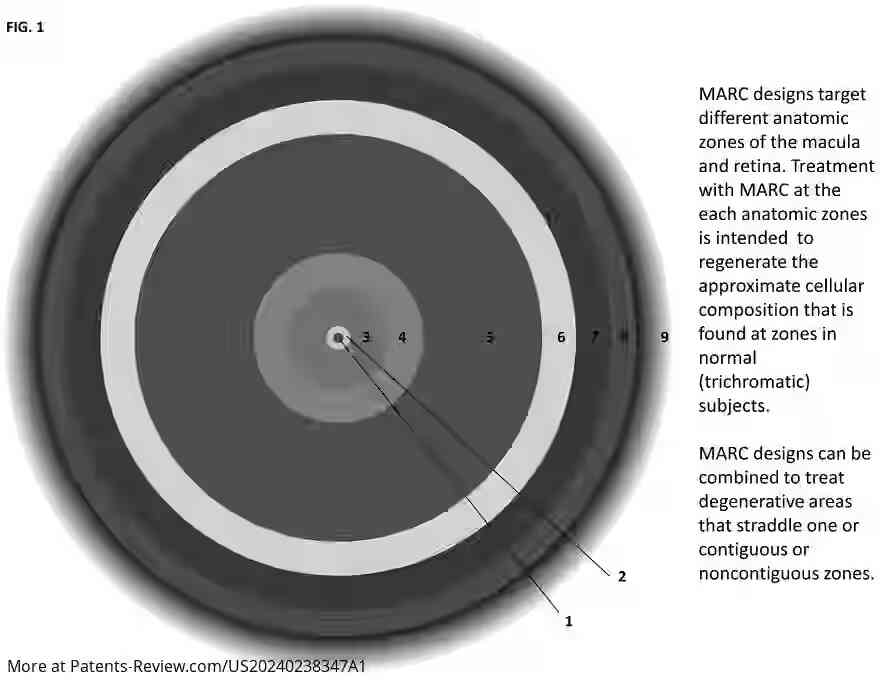 Drawing 02 for PHOTORECEPTOR CELLS FOR RETINAL AND MACULAR REPAIR