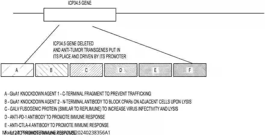 Drawing 01 for A Biological Entity for Treating Brain Cancer