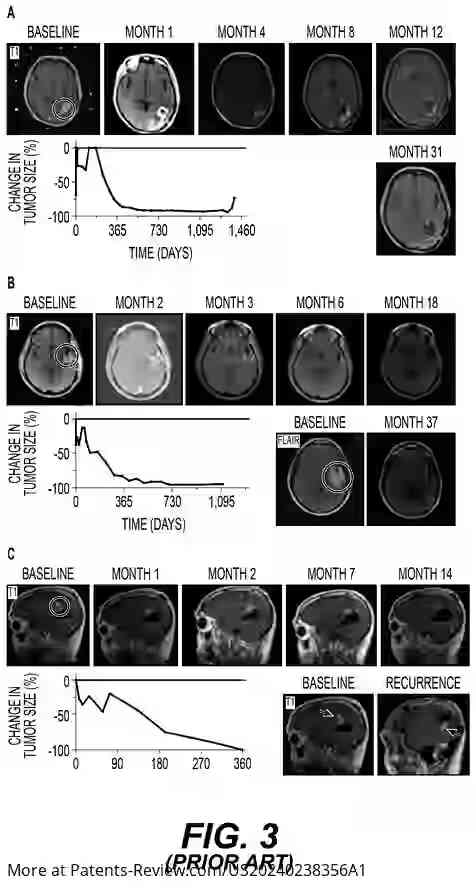 Drawing 04 for A Biological Entity for Treating Brain Cancer