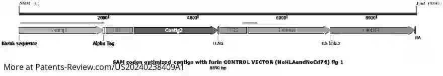 Drawing 01 for SARS-COV-2 MULTI-EPITOPE VACCINES