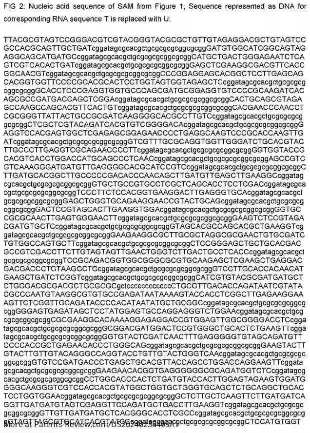 Drawing 03 for SARS-COV-2 MULTI-EPITOPE VACCINES