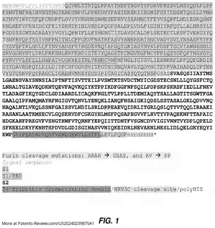 Drawing 02 for SARS-COV-2 SPIKE PROTEIN ANTIBODIES