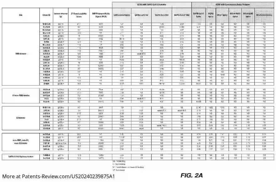 Drawing 03 for SARS-COV-2 SPIKE PROTEIN ANTIBODIES