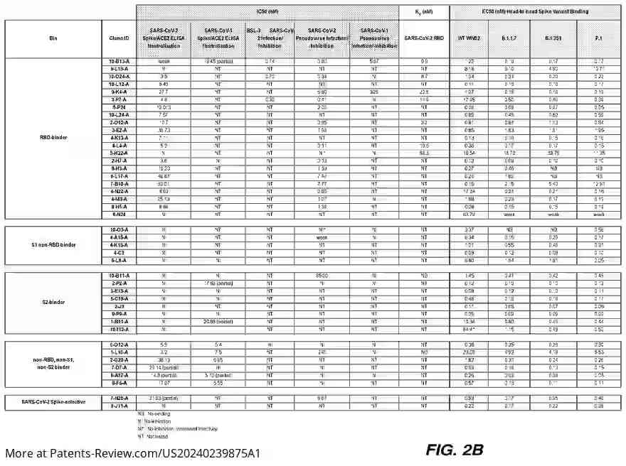 Drawing 04 for SARS-COV-2 SPIKE PROTEIN ANTIBODIES