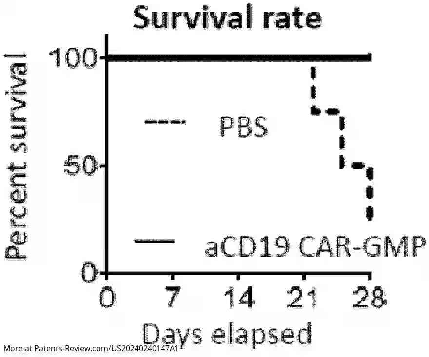 Drawing 01 for CHIMERIC ANTIGEN RECEPTOR-MODIFIED GRANULOCYTE-MACROPHAGE PROGENITORS FOR CANCER IMMUNOTHERAPY