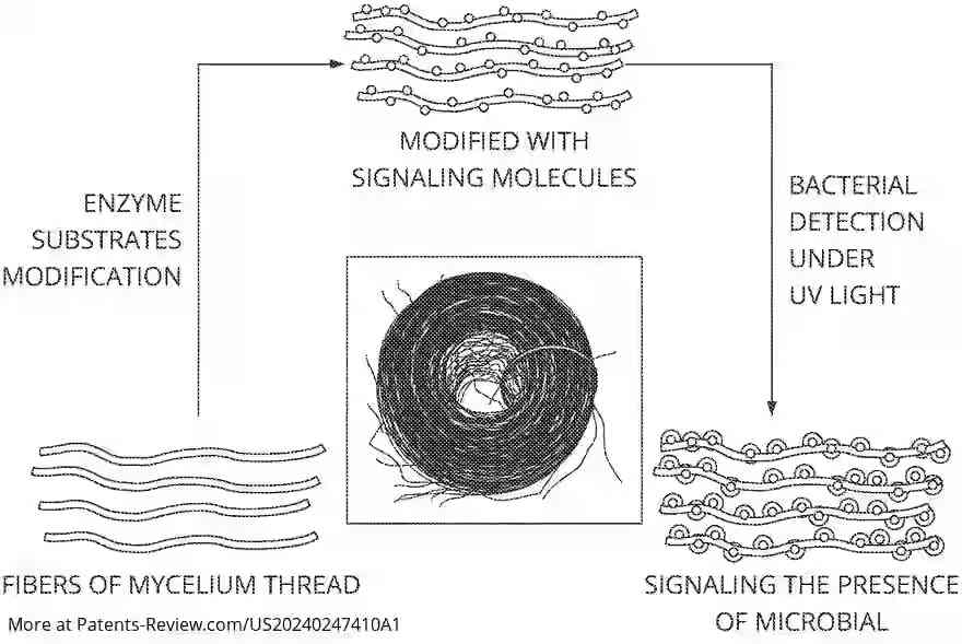 Drawing 01 for METHOD OF GENERATING MULTIFUNCTIONAL MYCELIUM PRODUCTS