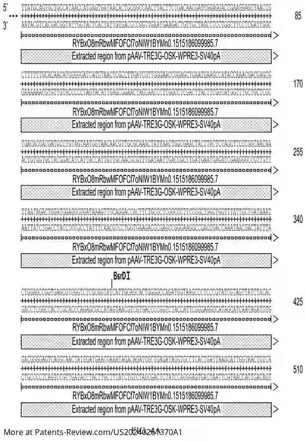 Drawing 04 for CELLULAR REPROGRAMMING TO REVERSE AGING AND PROMOTE ORGAN AND TISSUE REGENERATION