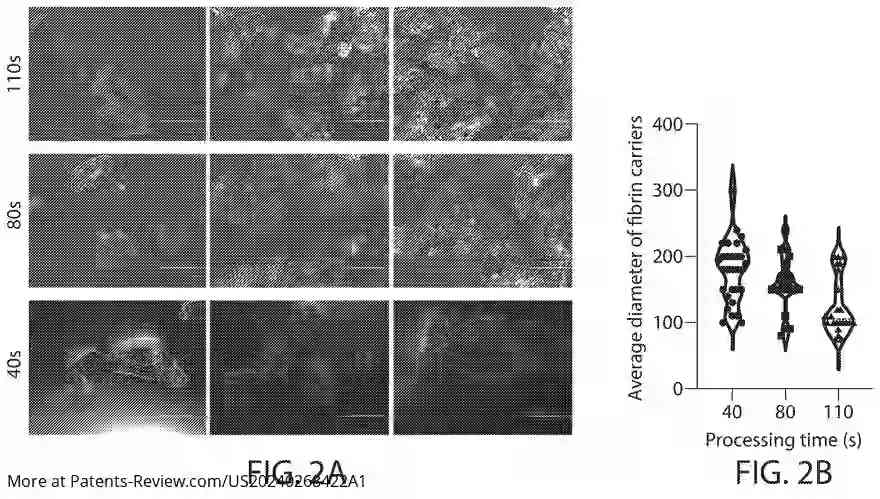 Drawing 03 for METHODS AND SYSTEMS OF PREPARING CULTIVATED MEAT FROM BLOOD OR CELLULAR BIOMASS