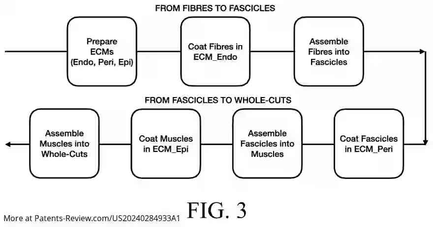 Drawing 04 for RAW PLANT-BASED MEAT FROM PLANT-BASED MUSCLE FIBERS