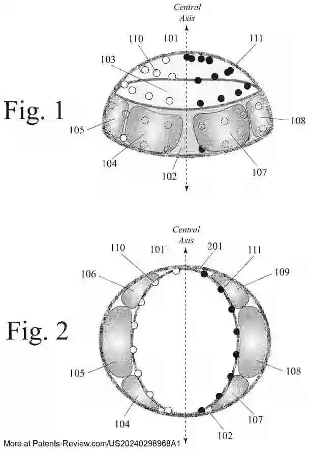 Drawing 02 for Smart Bra with Light Transmission for Optical Detection of Abnormal Breast Tissue