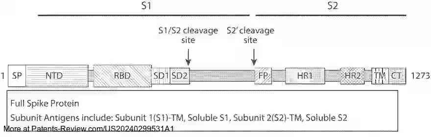 Drawing 01 for THERAPEUTIC USE OF SARS-COV-2 MRNA DOMAIN VACCINES