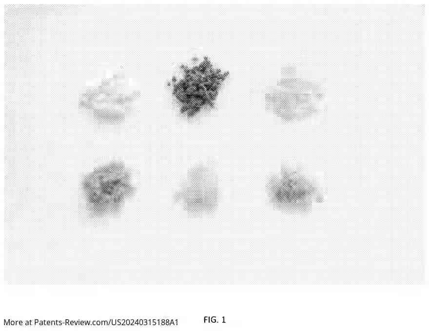 Drawing 02 for PROCESS FOR CONVERTING BIOMASS FROM PLANT CELL CULTURE INTO THREE-DIMENSIONAL STRUCTURE