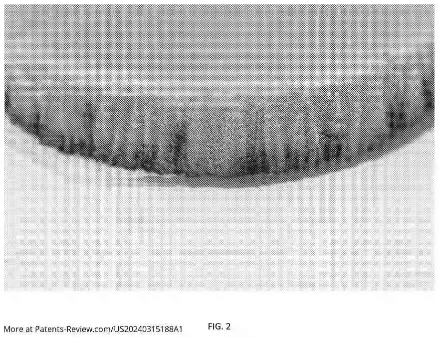 Drawing 03 for PROCESS FOR CONVERTING BIOMASS FROM PLANT CELL CULTURE INTO THREE-DIMENSIONAL STRUCTURE