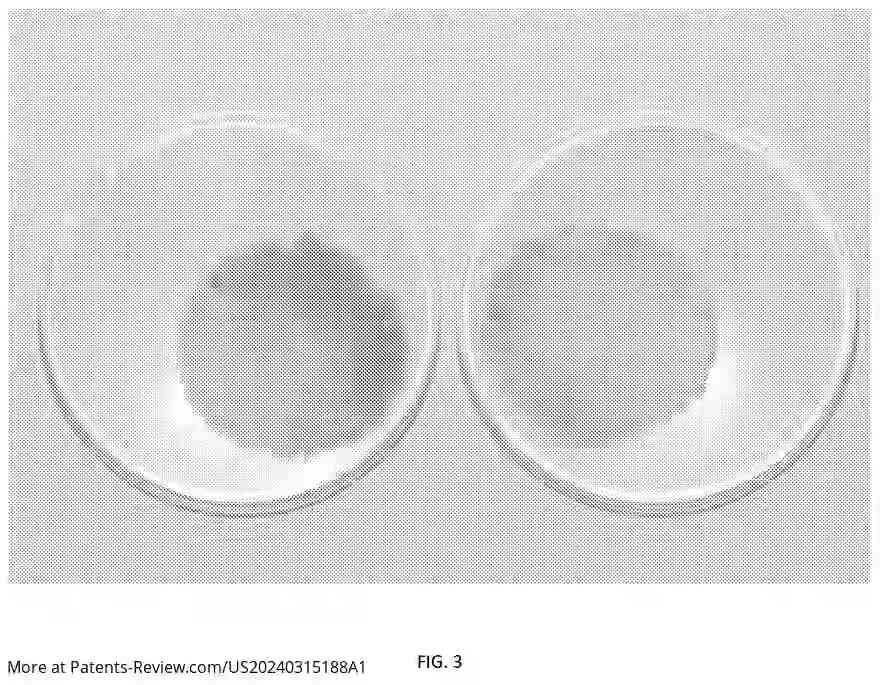 Drawing 04 for PROCESS FOR CONVERTING BIOMASS FROM PLANT CELL CULTURE INTO THREE-DIMENSIONAL STRUCTURE