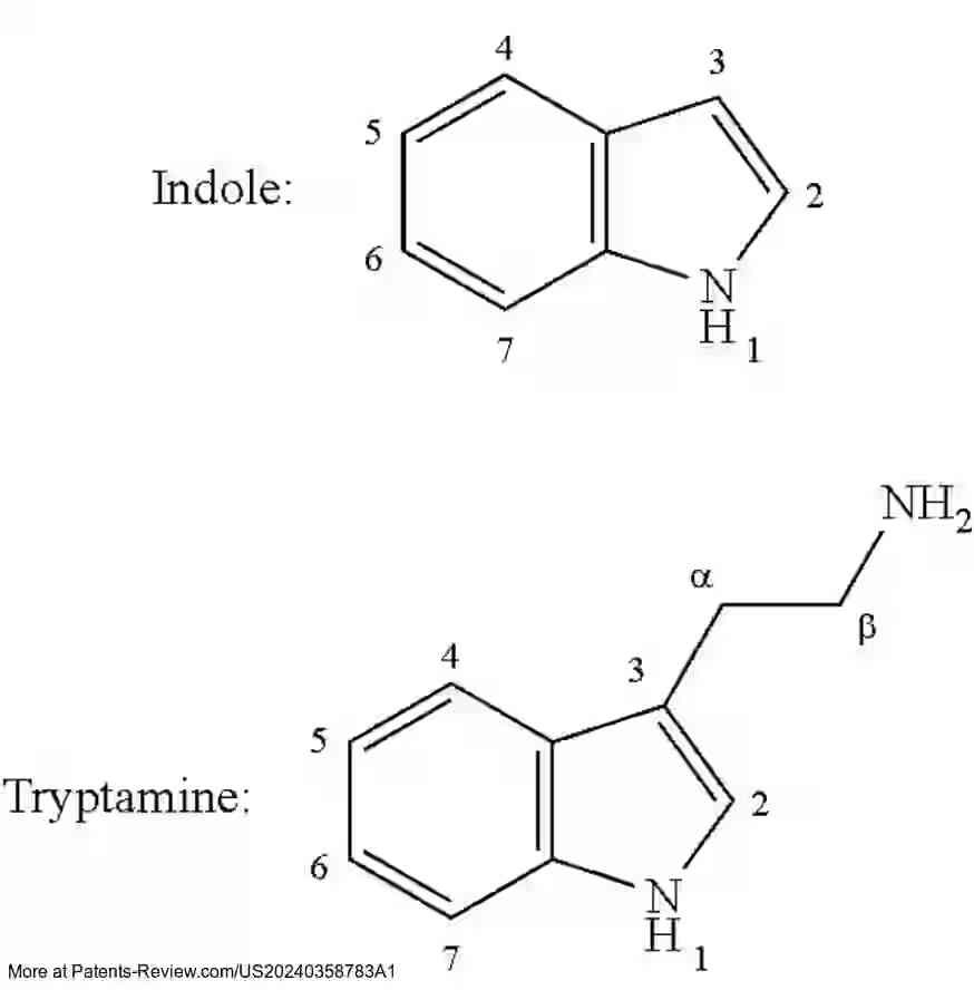 Drawing 02 for METHOD AND SYSTEM FOR THE TRANSDERMAL ADMINISTRATION OF A PSYCHEDELIC AGENT