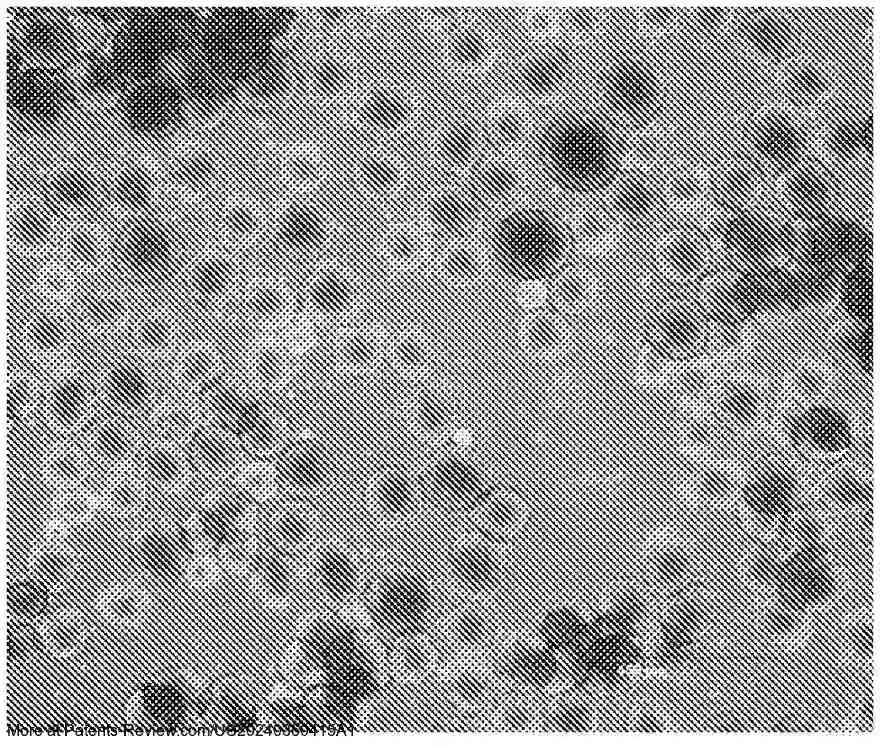 Drawing 01 for MUSCLE CELLS DIFFERENTIATED FROM PLURIPOTENT CELLS, METHODS OF PRODUCING SAME AND USE THEREOF