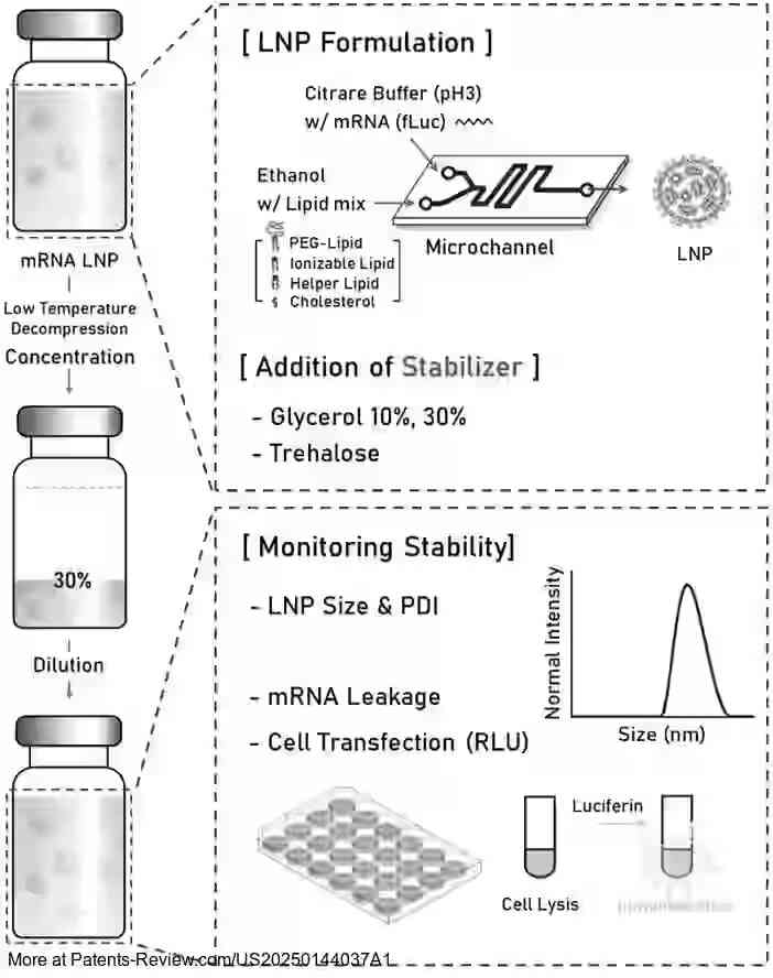 Drawing 01 for mRNA VACCINE COMPOSITION WITH IMPROVED STORAGE STABILITY