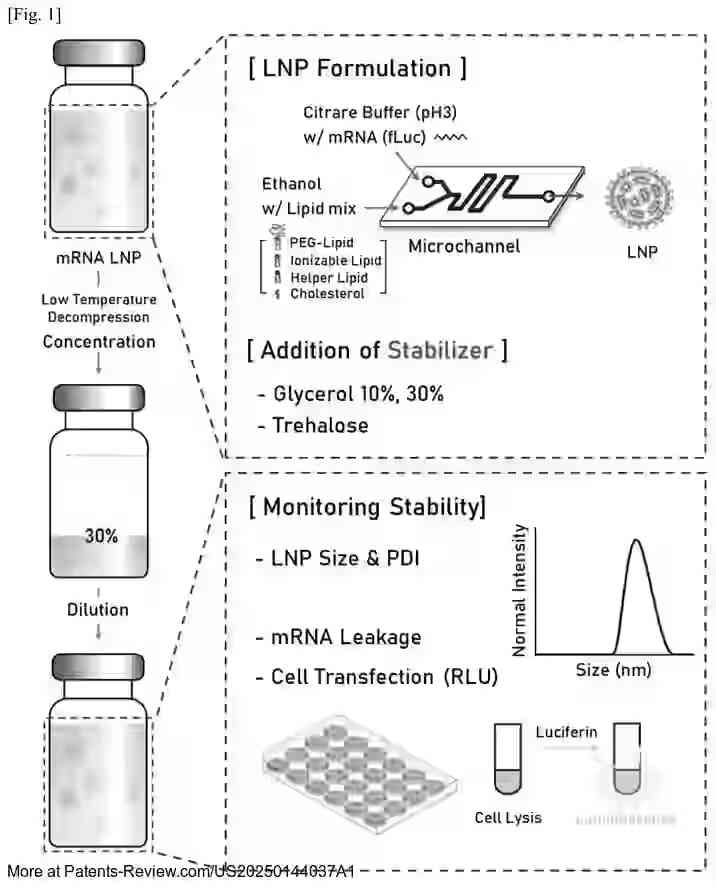 Drawing 02 for mRNA VACCINE COMPOSITION WITH IMPROVED STORAGE STABILITY