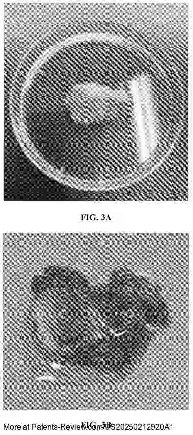 Drawing 04 for METHODS AND COMPOSITIONS FOR THE PRODUCTION OF CELL-BASED MEAT PRODUCTS