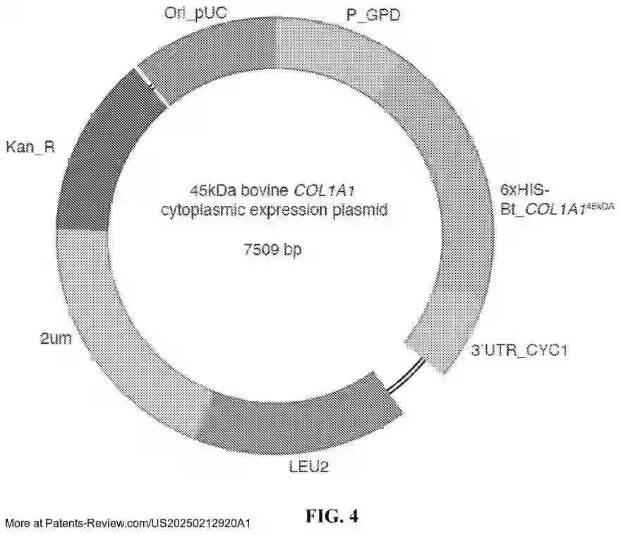 Drawing 05 for METHODS AND COMPOSITIONS FOR THE PRODUCTION OF CELL-BASED MEAT PRODUCTS