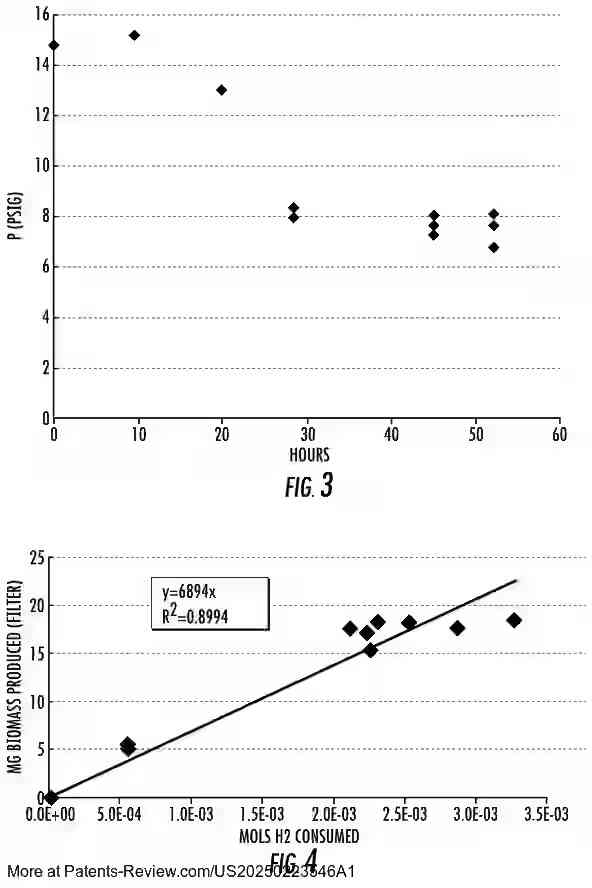 Drawing 03 for Microbial Conversion of CO2 and Other C1 Substrates to Vegan Nutrients, Fertilizers, Biostimulants, and Systems for Accelerated Soil Carbon Sequestration