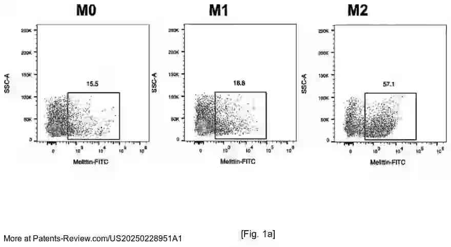 Drawing 02 for NOVEL-PEPTIDE-BASED ANTICANCER IMMUNOTHERAPEUTIC AGENT