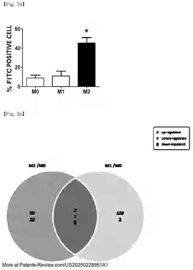 Drawing 03 for NOVEL-PEPTIDE-BASED ANTICANCER IMMUNOTHERAPEUTIC AGENT