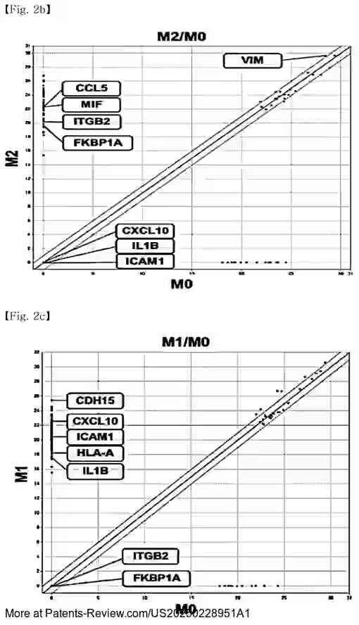 Drawing 04 for NOVEL-PEPTIDE-BASED ANTICANCER IMMUNOTHERAPEUTIC AGENT