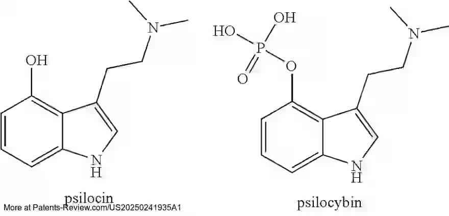 Drawing 05 for USES OF A CO-CRYSTAL OF PSILOCYBIN AND PSILOCIN