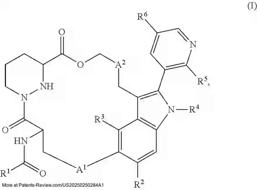 Drawing 02 for MACROCYCLE COMPOUNDS USEFUL AS KRAS INHIBITORS