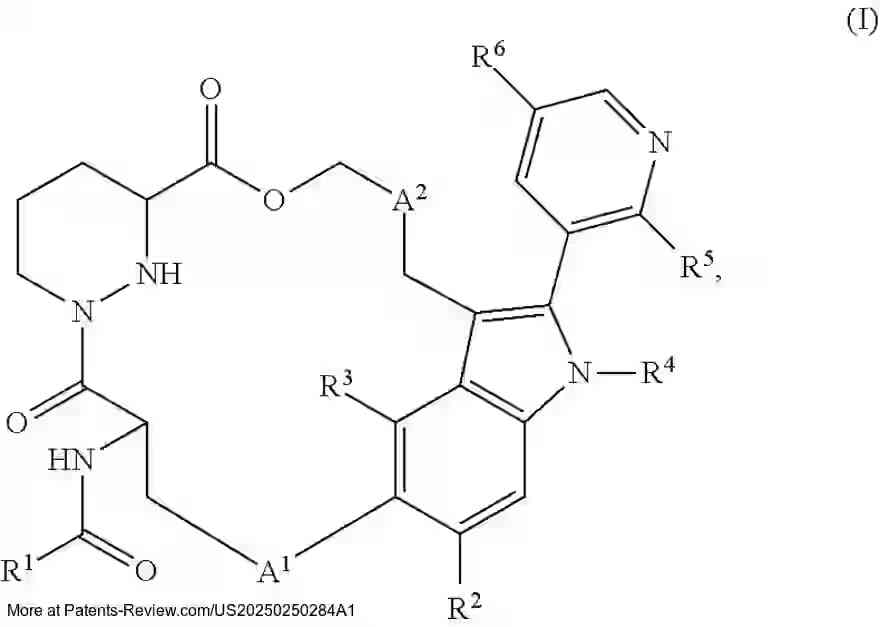 Drawing 03 for MACROCYCLE COMPOUNDS USEFUL AS KRAS INHIBITORS
