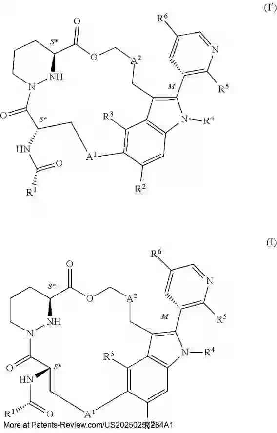Drawing 05 for MACROCYCLE COMPOUNDS USEFUL AS KRAS INHIBITORS