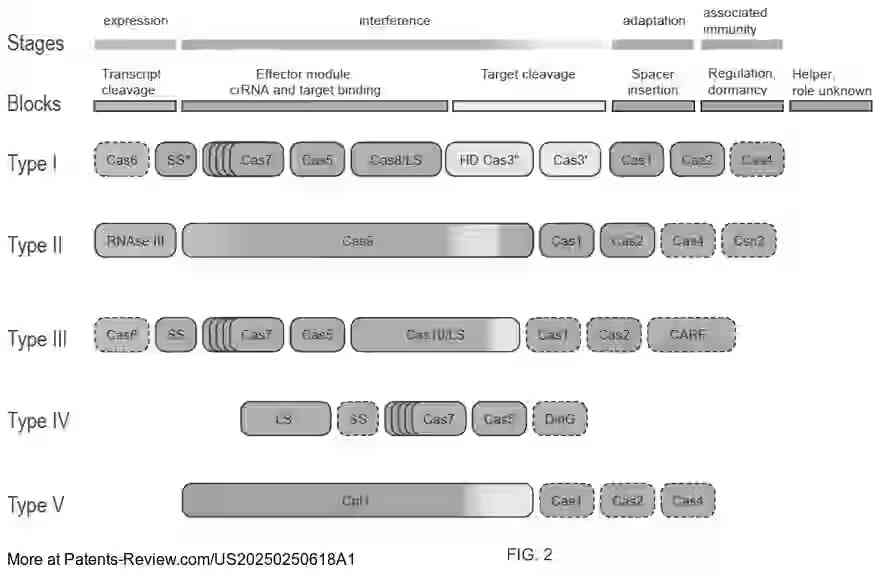 Drawing 04 for CRISPR ENZYMES AND SYSTEMS