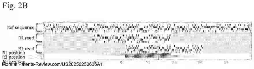 Drawing 04 for ULTRA-SENSITIVE LIQUID BIOPSY THROUGH DEEP LEARNING EMPOWERED WHOLE GENOME SEQUENCING OF PLASMA